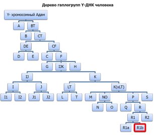 Генетика