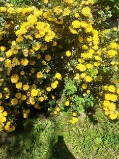 Мои ранние публикации.