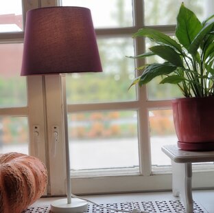 Интересные новинки