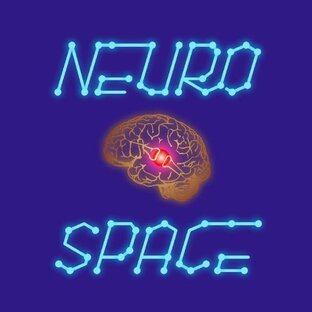 О нас в видео