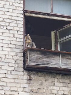 Всякая всячина