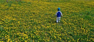 Рабочие моменты