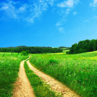 На любовь к Малой родине настраивающие