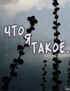 Что я такое (ВН)