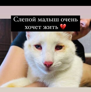 Лео и Анита 