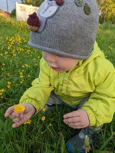 Про младенцев 