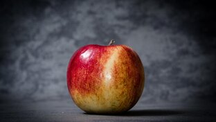Упавшее яблоко