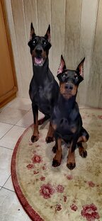 Мои мальчики любимые. 💕