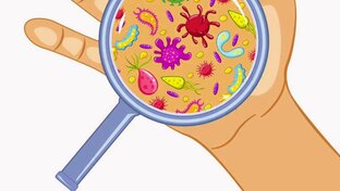 Микроорганизмы и простейшие 