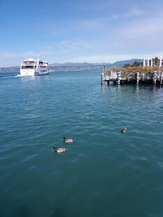 Путешествуем