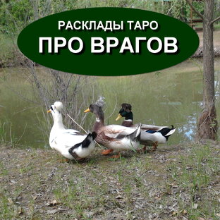 НА ВРАГОВ видеорасклады