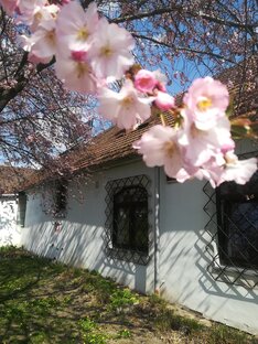 Романтические истории