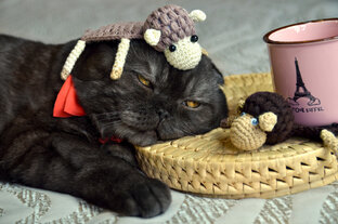 Интересные видео для просмотра