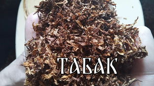 Табак и аксессуары