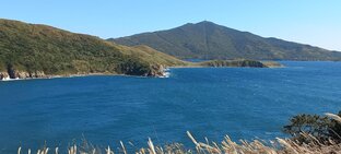 Волнующие темы