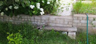 Сад и огород