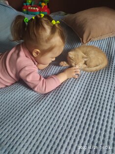 Дружба дочки и котёнка