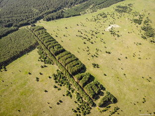Курганская область