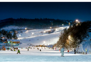 Северный склон.Санкт-Петербург.