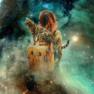 Истории в диалоге