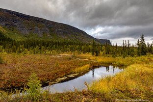 Походы и путешествия
