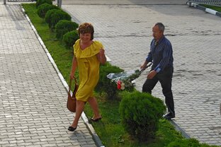Про жизнь
