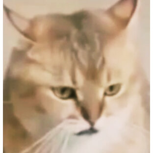 кИтэл