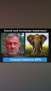Тест