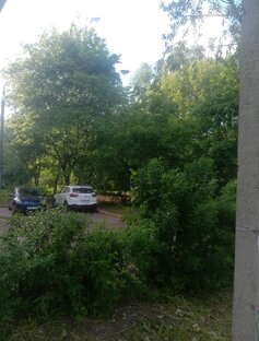 Моя активность по городу 