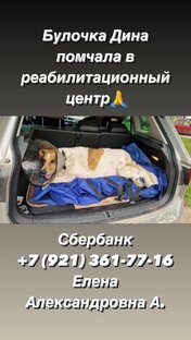 Дина в центре реабилитации