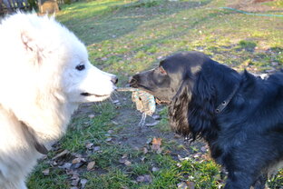 Про отношения.