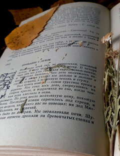 Читательское