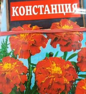 Посадка растений 