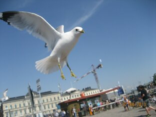 Для поднятия настроения!