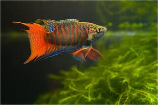 Статьи канала