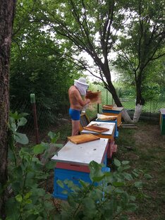 Наша Пасека 🐝 Кубань