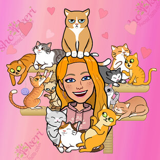 21 котик и 1 такса 