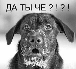 Немного юмора