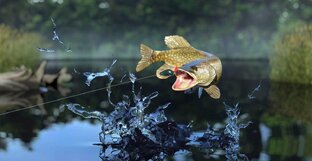 Рыбалка на удочку и поплавок. 