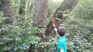 Кто.    я.  ?    Наш.  мир.  -  это.  история.  всей. страны.  что.  и.  потвер.