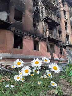 Мариуполь и Кременная