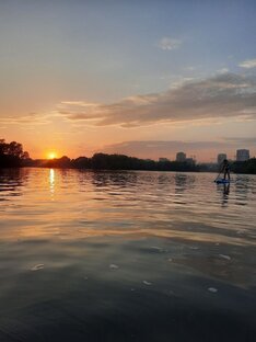 Навигатор публикаций