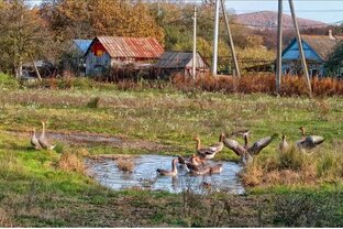Краснодарский край 