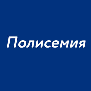 Полисемия