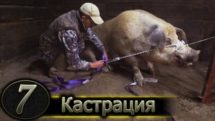 🖤 Чёрная рубрика / Особенные серии