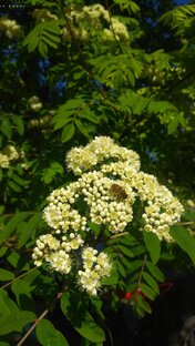 Люблю фотографировать 