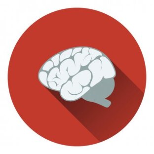 🧠
