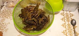 Раки ЕС