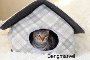 Кто в домике 