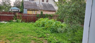 Сад, огород.